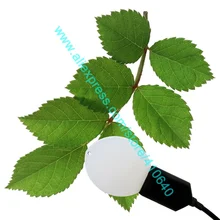 RS485 Output Leaf Surface Temperature Humidity Sensor Two In One Foliar Simulation Temperature AND Moisture Sensor for Leaf
RS485 Output Leaf Surface Temperature Humidity Sensor Two In One Foliar Simulation Temperature AND Moisture Sensor for Leaf