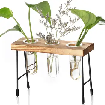 Glass Vase, Plant Terrarium with Wooden Stand Rack Glass Vase Holder Test Tube Vintage Wood Frame Hydroponic Plants Glass Pot
Glass Vase, Plant Terrarium with Wooden Stand Rack Glass Vase Holder Test Tube Vintage Wood Frame Hydroponic Plants Glass Pot