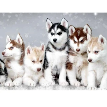 Diy Full Round Diamond Embroidery Animals Husky Puppy Full Round Mosaic Rhinestone Cross Stitch Kit Needlework
Diy Full Round Diamond Embroidery Animals Husky Puppy Full Round Mosaic Rhinestone Cross Stitch Kit Needlework