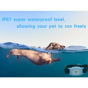 Hot Smart Waterproof IP67 MiNi Pet GPS AGPS LBS Tracking Tracker Collar For Dog Cat AGPS LBS SMS Positioning Geo-Fence Track Dev
Hot Smart Waterproof IP67 MiNi Pet GPS AGPS LBS Tracking Tracker Collar For Dog Cat AGPS LBS SMS Positioning Geo-Fence Track Dev