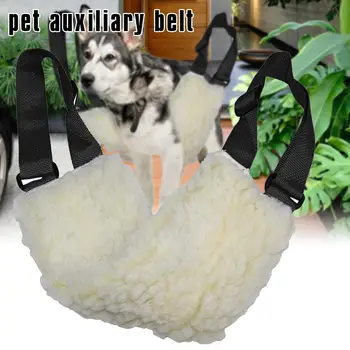 Dog Auxiliary Belt Dog Harness Adjustable Legs Belt Hip Brace Harness For Disabled Dogs Arthritis Pet Care Dog
Dog Auxiliary Belt Dog Harness Adjustable Legs Belt Hip Brace Harness For Disabled Dogs Arthritis Pet Care Dog