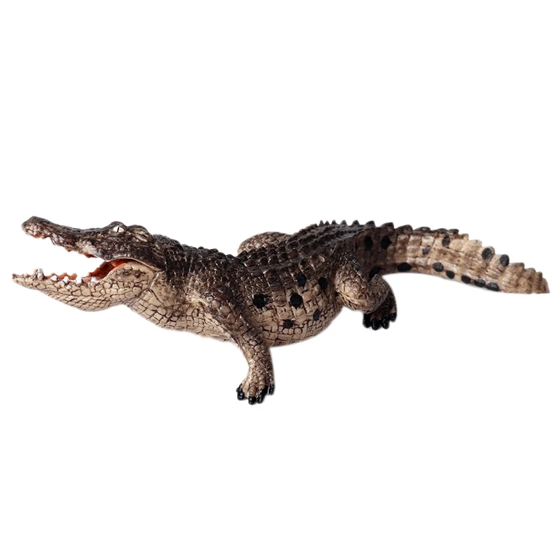 Simulation Wild Animal Model Decoration Crocodile Nile Crocodile Amphibian Children Solid Plastic Toy
Simulation Wild Animal Model Decoration Crocodile Nile Crocodile Amphibian Children Solid Plastic Toy