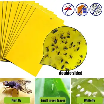 Yellow Board 20pcs Double Side Strong Flies Traps Bugs Sticky Board Economic Convenient Yard Orchard Pest Killer
Yellow Board 20pcs Double Side Strong Flies Traps Bugs Sticky Board Economic Convenient Yard Orchard Pest Killer
