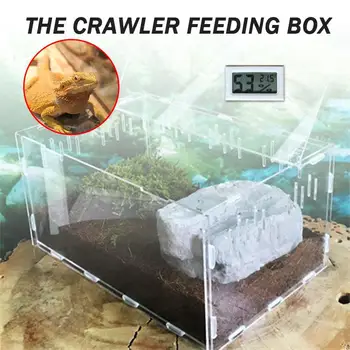 Transparent Pet Box Home Decoration Reptile Box Pet Supplies Insect Cold Blooded Animals Garnish Reptiles Acrylic Thermometer
Transparent Pet Box Home Decoration Reptile Box Pet Supplies Insect Cold Blooded Animals Garnish Reptiles Acrylic Thermometer