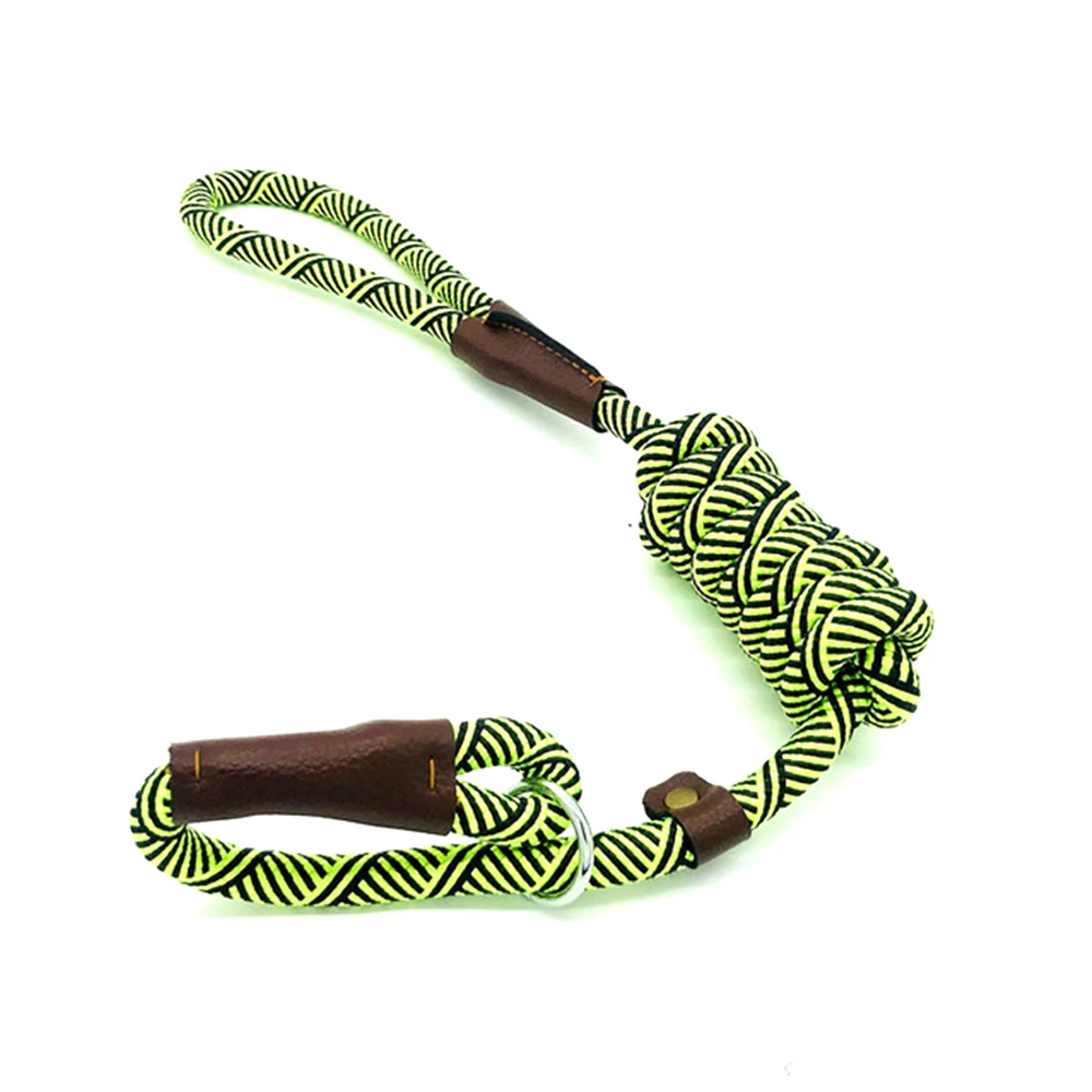 Durable Slip Rope Dog Leash Collar 2 In 1 Adjustable Loop Collar Comfortable Small Medium Large Pet Harness Leash
Durable Slip Rope Dog Leash Collar 2 In 1 Adjustable Loop Collar Comfortable Small Medium Large Pet Harness Leash