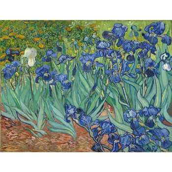 Frame DIY Picture By Numbers Flowers Famous Picture Coloring By Numbers Wall Art Picture For Home Decors Artwork 60x75cm
Frame DIY Picture By Numbers Flowers Famous Picture Coloring By Numbers Wall Art Picture For Home Decors Artwork 60x75cm
