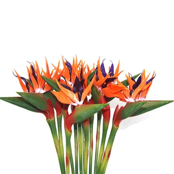 Small High Simulation Plastic Feel Bird of Paradise Placed Process Artificial Strelitzia Reginae
Small High Simulation Plastic Feel Bird of Paradise Placed Process Artificial Strelitzia Reginae