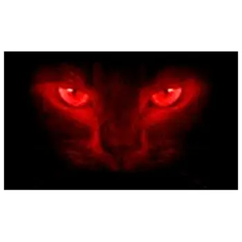 Surprise 3D Car Rear Windshield Sticker Waterproof One Way Vision Material 130*70cm Unique ORC Wolf Thriller Sticker
Surprise 3D Car Rear Windshield Sticker Waterproof One Way Vision Material 130*70cm Unique ORC Wolf Thriller Sticker