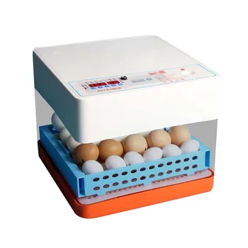 20 Grids Mini Eggs Incubator Fully Automatic Eggs Poultry Hatcher Home Incubator with EU Plug White
20 Grids Mini Eggs Incubator Fully Automatic Eggs Poultry Hatcher Home Incubator with EU Plug White