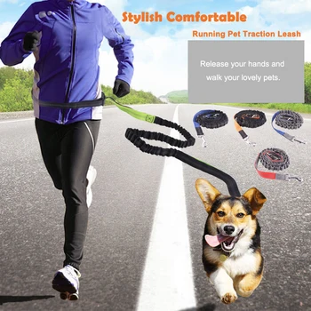 Pet Dog Running Jogging Waist Belt Reflective Elastic Pet Leash Walking Training Dog Leads Retractable Dog Leash Set Hands Free
Pet Dog Running Jogging Waist Belt Reflective Elastic Pet Leash Walking Training Dog Leads Retractable Dog Leash Set Hands Free