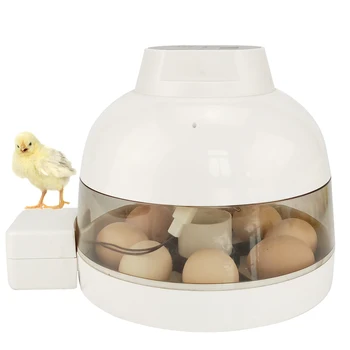 Poultry Egg Incubator Brooder With Digital Temperature Control Egg Incubator Hatcher for Chicken Bird Egg
Poultry Egg Incubator Brooder With Digital Temperature Control Egg Incubator Hatcher for Chicken Bird Egg