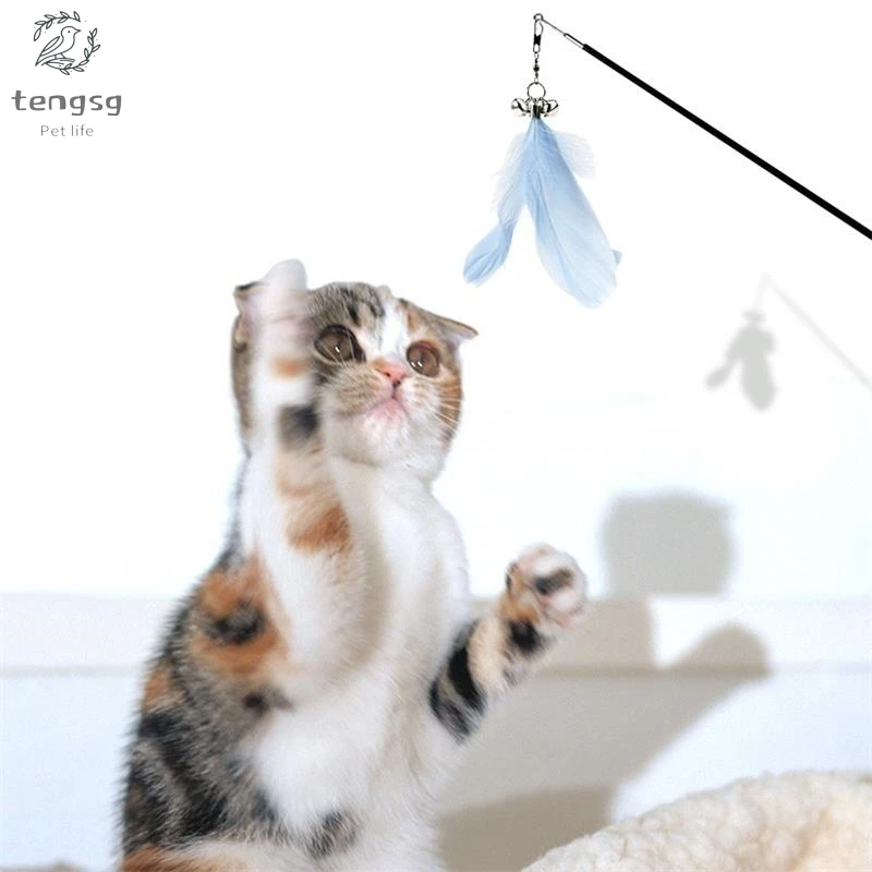 Pet Cat Feather Toys Scalable Cat Catcher Teaser Stick Interactive Toys With Wood Handle Cat Plastic Rod Toys Supplie
Pet Cat Feather Toys Scalable Cat Catcher Teaser Stick Interactive Toys With Wood Handle Cat Plastic Rod Toys Supplie
