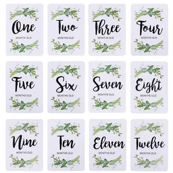 Plants Printed Newborn Baby Month Stickers Convenient Practical User-friendly Design Milestone Memory Photo Props 12pcs
Plants Printed Newborn Baby Month Stickers Convenient Practical User-friendly Design Milestone Memory Photo Props 12pcs