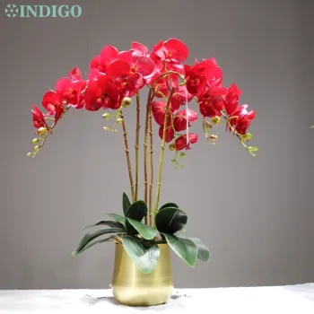 INDIGO - Large 90cm Red Phalaenopsis Orchids 7 Heads Real Touch Latex Flower Decorative Wedding Flower Orchids Floral Party
INDIGO - Large 90cm Red Phalaenopsis Orchids 7 Heads Real Touch Latex Flower Decorative Wedding Flower Orchids Floral Party