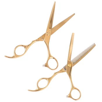 2pcs Stainless Steel Hairdressing Scissors Set Barber Scissors Hair Cutting Tools (Golden)
2pcs Stainless Steel Hairdressing Scissors Set Barber Scissors Hair Cutting Tools (Golden)