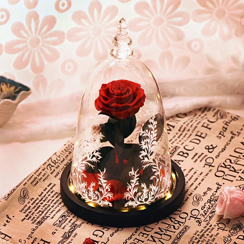 Led Beauty Rose And Beast Red Lantern String Table Lamp Romantic Valentine'S Day Birthday Gift Decoration
Led Beauty Rose And Beast Red Lantern String Table Lamp Romantic Valentine'S Day Birthday Gift Decoration