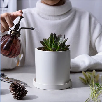 1 Set Ceramic Pots Useful Exquisite Fleshy Pots Mini Pots Garden Decorations Flower Pots for Garden Home Bedroom
1 Set Ceramic Pots Useful Exquisite Fleshy Pots Mini Pots Garden Decorations Flower Pots for Garden Home Bedroom