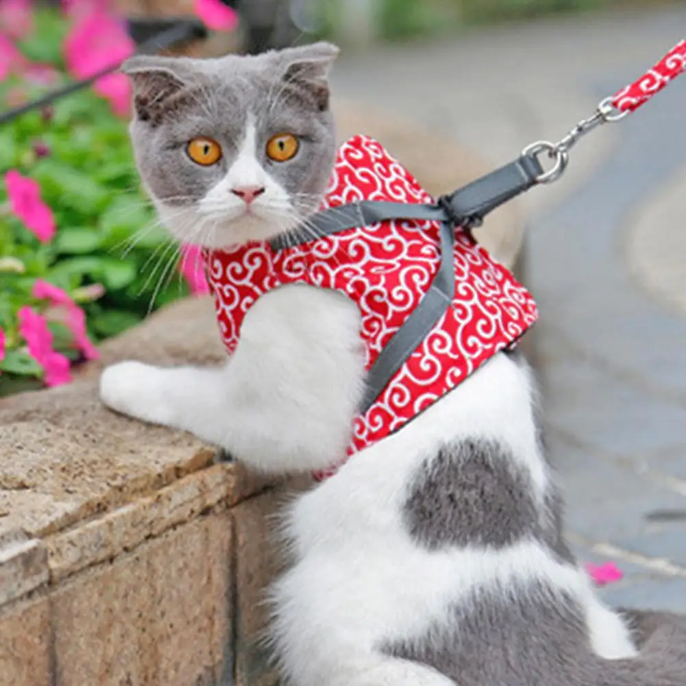 Small Cat Vest Harness