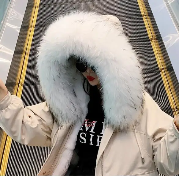 Excellent Natural rex rabbit fur lining parka real fur coat winter jacket women natural raccoon fur collar warm thick parkas tsr678 2 Excellent Natural rex rabbit fur lining parka real fur coat winter jacket women natural raccoon fur collar warm thick parkas tsr678 2