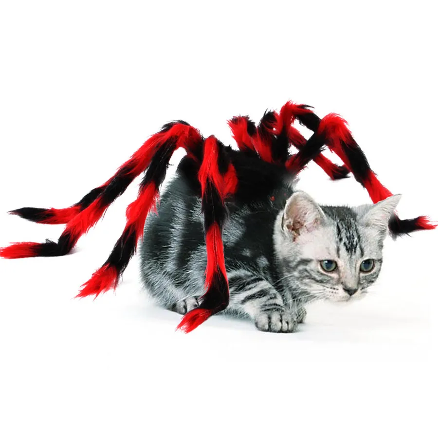 2020 Funny Cute Pet Cat Costume Spider chest back For Cat Dog Halloween Christmas Clothes Fancy Dress Pet Clothes (6)