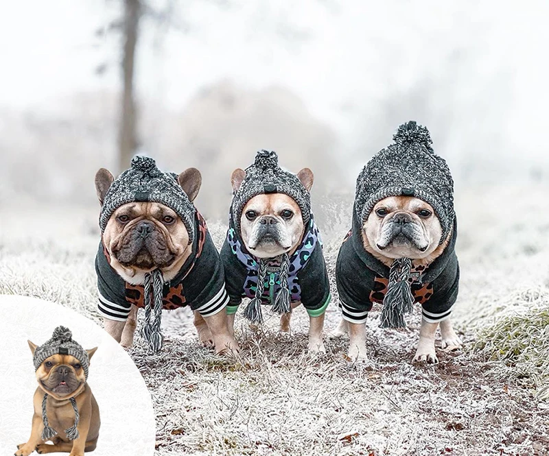 Hat for Dogs Winter Warm Chihuahua Windproof Dog Birthday Wool Knitting Dog Accessories for Small Dogs Costume Puppy Accessories
Hat for Dogs Winter Warm Chihuahua Windproof Dog Birthday Wool Knitting Dog Accessories for Small Dogs Costume Puppy Accessories