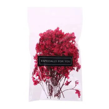 1 Bag Real Pressed Dried Flowers Floral Plants Embellishments For DIY Scrapbooking Card Making Art Craft Decoration
1 Bag Real Pressed Dried Flowers Floral Plants Embellishments For DIY Scrapbooking Card Making Art Craft Decoration