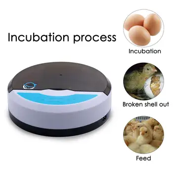 9 Eggs Capacity Chicken Eggs Bird Incubator Egg Rack Tray Automatic Intelligent Control Quail Parrot Incubation Bird Brooder
9 Eggs Capacity Chicken Eggs Bird Incubator Egg Rack Tray Automatic Intelligent Control Quail Parrot Incubation Bird Brooder
