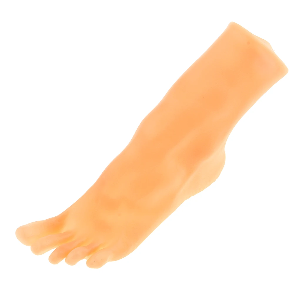 1 Pair Lifesize Female Mannequin Foot Feet for Jewerly Sandals Shoes Socks Anklet Display 1 Pair Lifesize Female Mannequin Foot Feet for Jewerly Sandals Shoes Socks Anklet Display