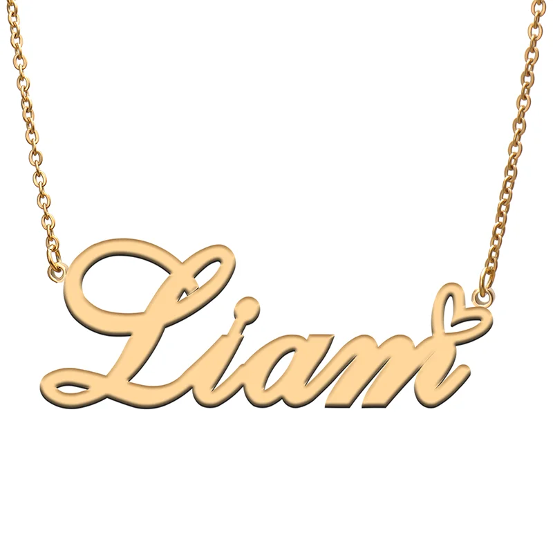 

Liam Name Tag Necklace Personalized Pendant Jewelry Gifts for Mom Daughter Girl Friend Birthday Christmas Party Present