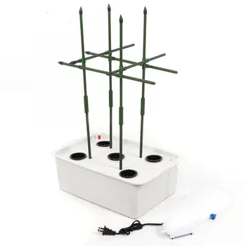 5 Holes Soilless Hydroponic Kit Rack Water Planting System for Tomato Cucumber US Plug 110V Hydroponic Box
5 Holes Soilless Hydroponic Kit Rack Water Planting System for Tomato Cucumber US Plug 110V Hydroponic Box