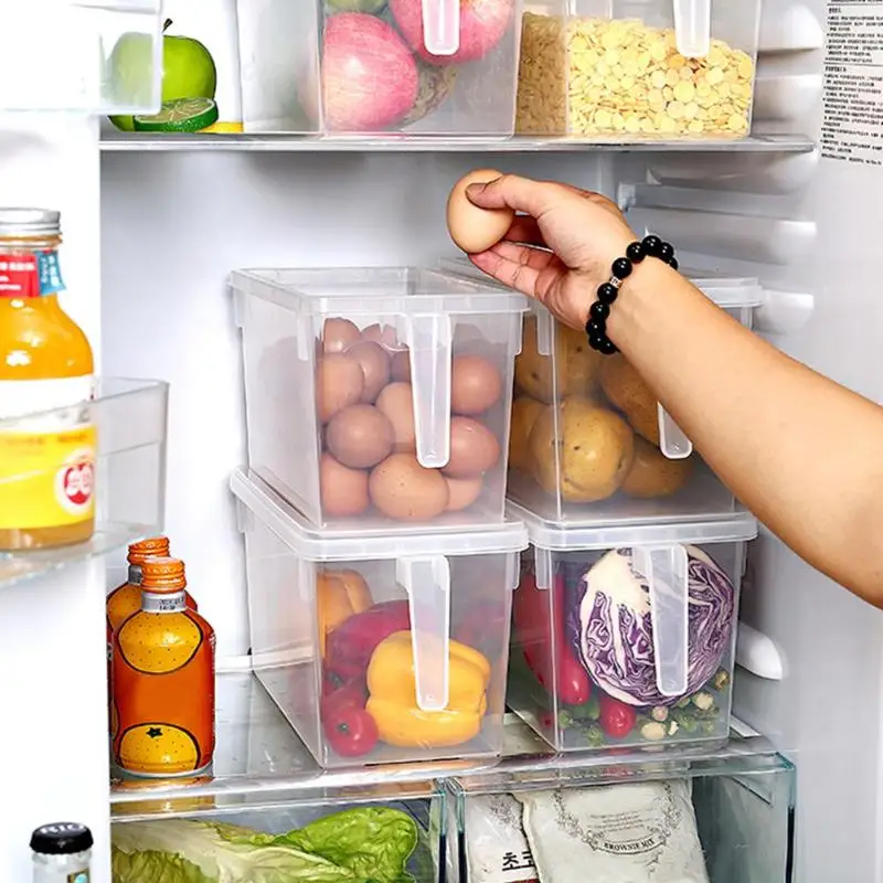 Kitchen Transparent PP Storage Box Grains Beans Storage Contain Sealed Home Organizer Food Container Refrigerator Storage Boxes
Kitchen Transparent PP Storage Box Grains Beans Storage Contain Sealed Home Organizer Food Container Refrigerator Storage Boxes
