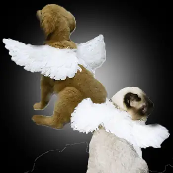 Pet Halloween Devil Angel Feather Wings Transformation Costume Funny Black White Wing Cat Dress Up Dog Accessories
Pet Halloween Devil Angel Feather Wings Transformation Costume Funny Black White Wing Cat Dress Up Dog Accessories