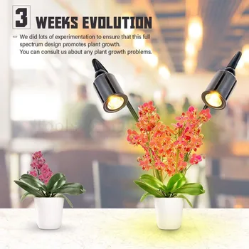 ZBGL0301 Dual Head Flexible Gooseneck 24W LED Grow Light Full Spectrum for Indoor Plants Sunlike COB Grow Lamp Light Garden 
ZBGL0301 Dual Head Flexible Gooseneck 24W LED Grow Light Full Spectrum for Indoor Plants Sunlike COB Grow Lamp Light Garden