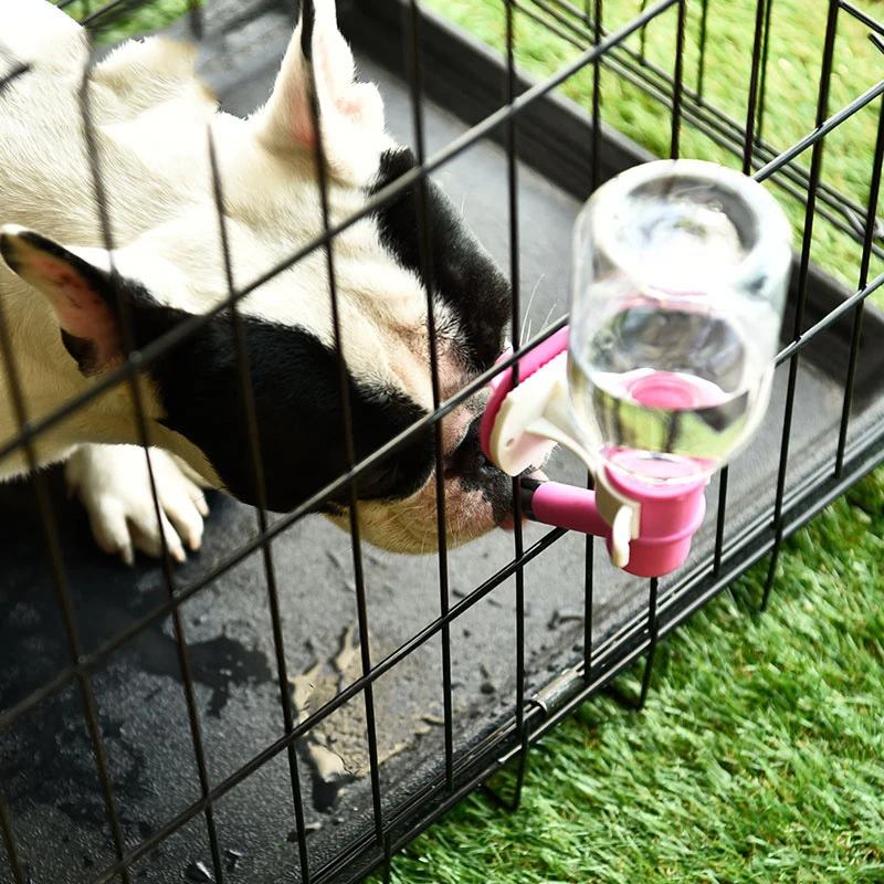 Fountain Head Drinker Ball Hanging Bottle Pet Dog Cat Pet Supplies Water Drink
Fountain Head Drinker Ball Hanging Bottle Pet Dog Cat Pet Supplies Water Drink