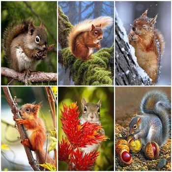 AZQSD 5D DIY Diamond Painting Animal Cross Stitch Full Square Picture Of Diamond Embroidery Mosaic Squirrel Handicraft Kits
AZQSD 5D DIY Diamond Painting Animal Cross Stitch Full Square Picture Of Diamond Embroidery Mosaic Squirrel Handicraft Kits