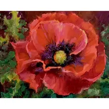 GATYZTORY DIY Painting By Numbers red Flowers Canvas Drawing Figure Oil Painting HandPainted Home Decor Gift
GATYZTORY DIY Painting By Numbers red Flowers Canvas Drawing Figure Oil Painting HandPainted Home Decor Gift