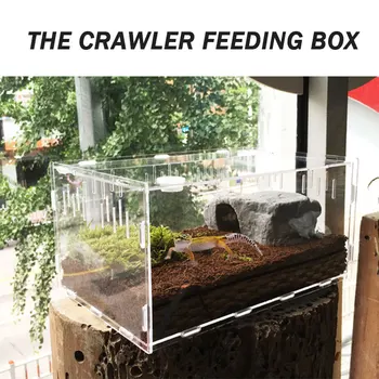 Reptile Terrarium Pet Box Pet Supplies Cold Blooded Animals Portable Practical Durable 30*20*15cm Acrylic Transparent
Reptile Terrarium Pet Box Pet Supplies Cold Blooded Animals Portable Practical Durable 30*20*15cm Acrylic Transparent