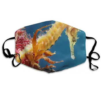 Face Mask Seahorse Wallpapers Custom Personalized Cycling Half Face Earloop Dust Mask for Woman
Face Mask Seahorse Wallpapers Custom Personalized Cycling Half Face Earloop Dust Mask for Woman
