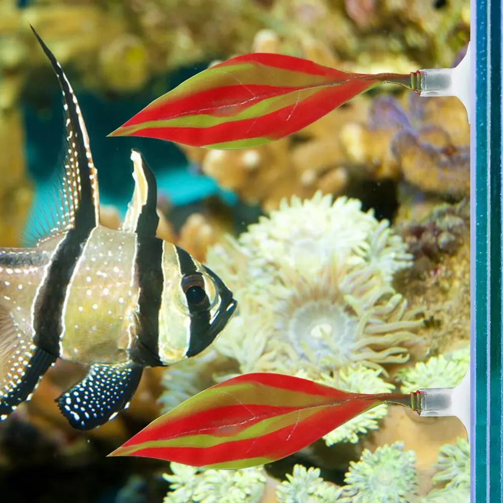2 Pieces Of Soft Silicone Bed Used For Fish Silicone Simulation To Beautify The Aquarium Landscaping Fish Tank Decoration
2 Pieces Of Soft Silicone Bed Used For Fish Silicone Simulation To Beautify The Aquarium Landscaping Fish Tank Decoration