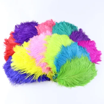 50 Pcs/Lots Home Wedding Decoration Feather Natural Ostrich Feather 25-30 CM Carnival Dress Hats Decoration Accessory for Crafts
50 Pcs/Lots Home Wedding Decoration Feather Natural Ostrich Feather 25-30 CM Carnival Dress Hats Decoration Accessory for Crafts