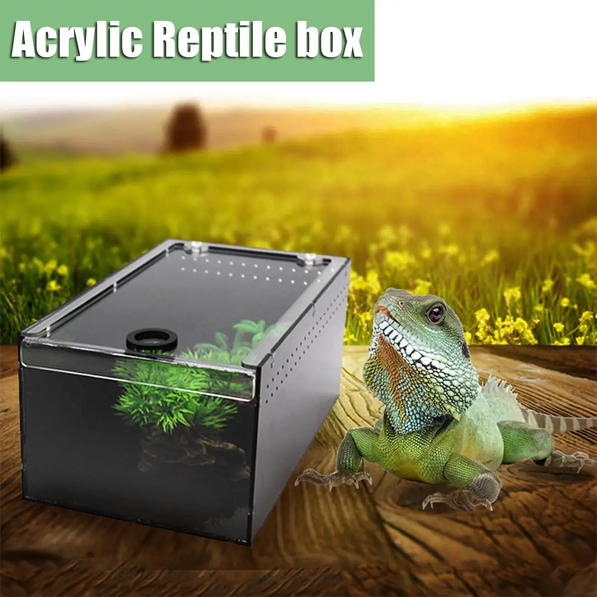 Acrylic Reptiles Box Insect Breeding Feeding Box Case With Lid Reptile Lizard Feeding Hatching Container Cage Reptiles Supplies
Acrylic Reptiles Box Insect Breeding Feeding Box Case With Lid Reptile Lizard Feeding Hatching Container Cage Reptiles Supplies