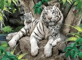 diy picture paintings by numbers with tiger animal oil painting wall decoration Painting by numbers diy picture
diy picture paintings by numbers with tiger animal oil painting wall decoration Painting by numbers diy picture