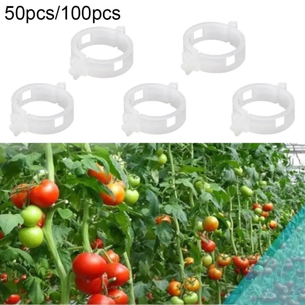 

50/100Pcs Clear Hanging Plastic Vegetables Plant Vine Clips Clamp Gardening Tool