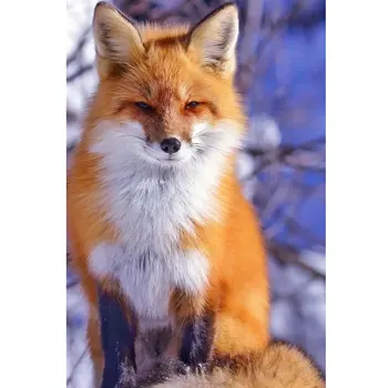 5D DIY Diamond Painting Fox Animal Cross Stitch Kits Full Square Round Drill Diamond Mosaic Needlework Handmade Home Decor Gift 
5D DIY Diamond Painting Fox Animal Cross Stitch Kits Full Square Round Drill Diamond Mosaic Needlework Handmade Home Decor Gift