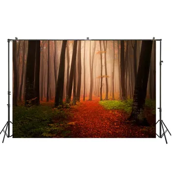 HuaYi spring scene backdrops forest decoration night background photography for photo studio photoshoot photography D-9087 
HuaYi spring scene backdrops forest decoration night background photography for photo studio photoshoot photography D-9087