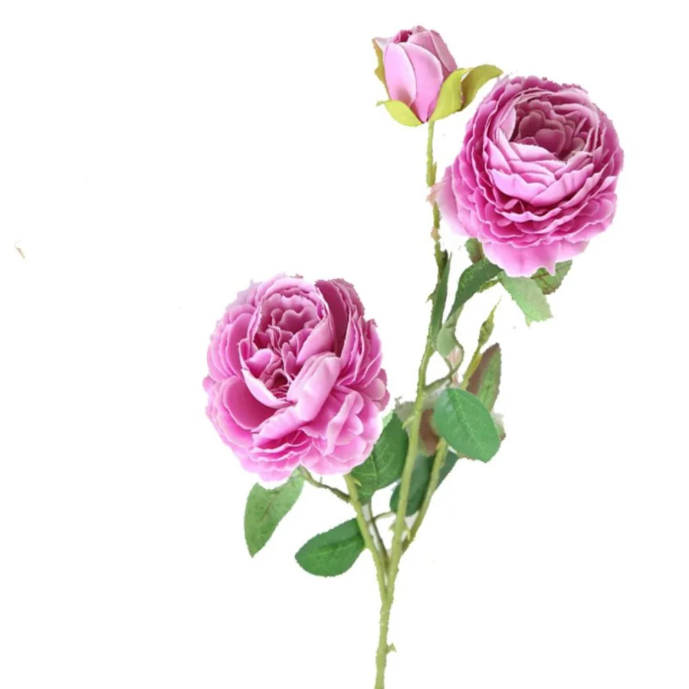 YY8539707-ALL-010501-1