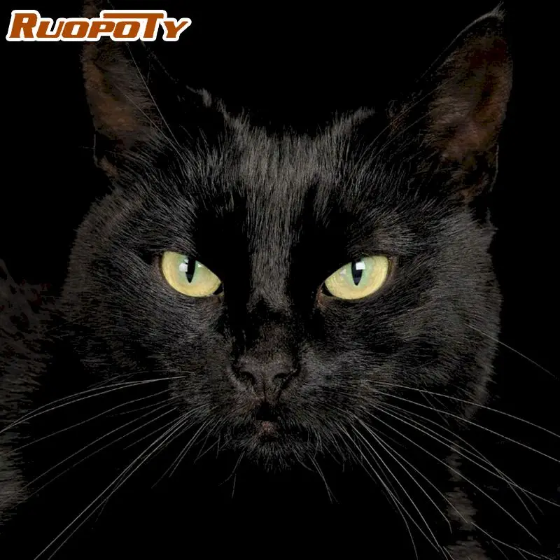 RUOPOTY Black Cat Frame Painting By Numbers Acrylic Animal Coloring By Numbers Wall Art Picture Canvas Painting Home Decor
RUOPOTY Black Cat Frame Painting By Numbers Acrylic Animal Coloring By Numbers Wall Art Picture Canvas Painting Home Decor