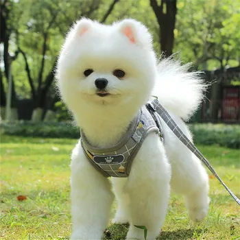 Dog Harness And Leash Sets Mesh Kitten Puppy New Reflective Dogs Breathable Vest Harness Leads Pet Clothes For Small Dogs Strap
Dog Harness And Leash Sets Mesh Kitten Puppy New Reflective Dogs Breathable Vest Harness Leads Pet Clothes For Small Dogs Strap