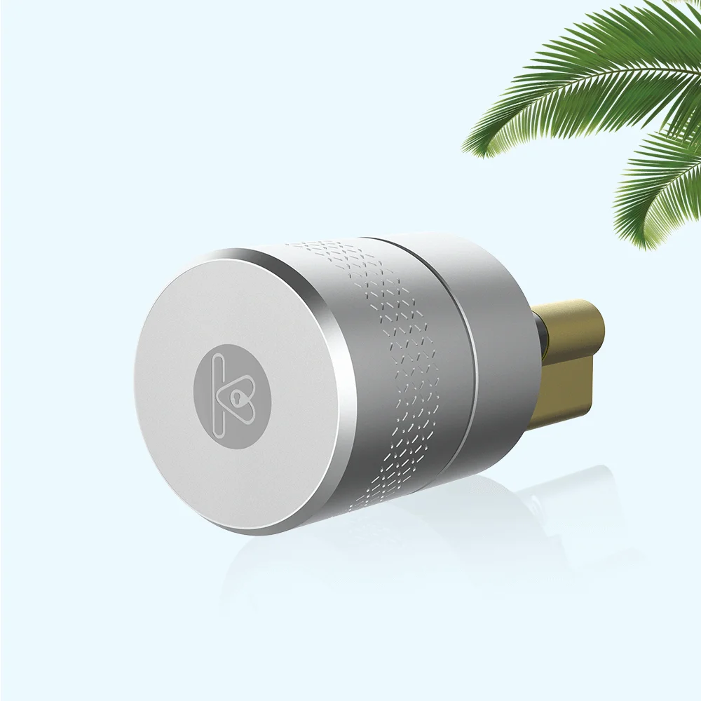 Fingerprint Phone Control Smart Lock Body Stainless Steel Lockbody Keyless Access Lock Core For Door Lock Modification Upgrade
Fingerprint Phone Control Smart Lock Body Stainless Steel Lockbody Keyless Access Lock Core For Door Lock Modification Upgrade