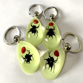 12 pcs Insect Specimen Artificial Car Keychain Drop Spider Jewelry Taxidermy Gift Accessories
12 pcs Insect Specimen Artificial Car Keychain Drop Spider Jewelry Taxidermy Gift Accessories